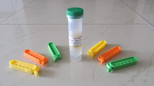 ͸�������ӣ���5cm��